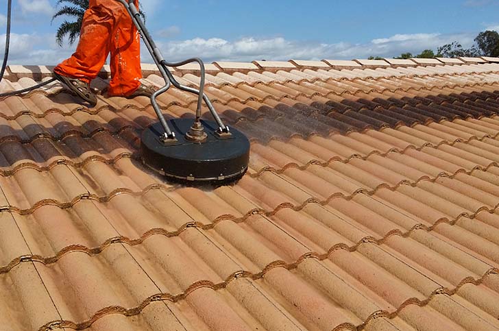 Roof Cleaning Services